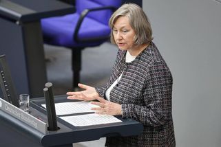Češi by měli uznat, že odsun Němcům byl bezpráví, řekla poslankyně AfD. Macinka se ohradil - Novinky